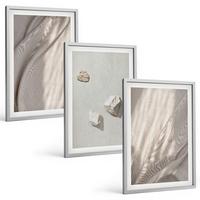 BILDER SET 3er Set - 40x60 cm Silberner Rahmen - Nahaufnahmen der Struktur im Boho-Stil - Silberfarben, Kunststoff (40/60cm) - TULUP