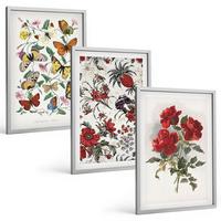 BILDER SET 3er Set - 40x60 cm Silberner Rahmen - Schmetterlinge, Blumen, rote Rosen - Silberfarben, Kunststoff (40/60cm) - TULUP