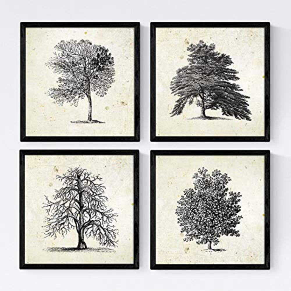 POSTER Set mit 4 Obstbäume ohne, weiß 20x20cm Schwarzer Rahmen - Schwarz, Papier (20/3cm) - Nacnic