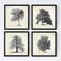 POSTER Set mit 4 Obstbäume ohne, weiß 20x20cm Schwarzer Rahmen - Schwarz, Papier (20/3cm) - Nacnic