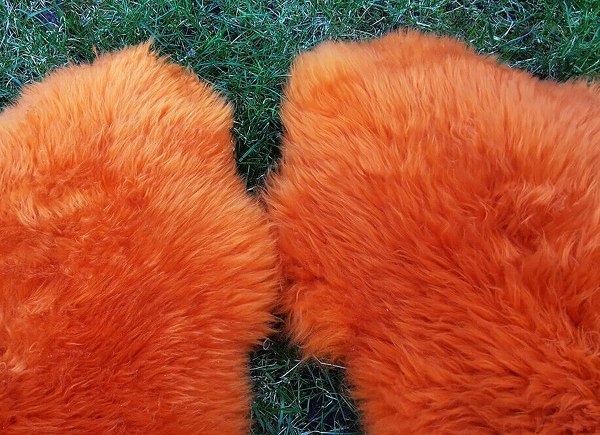 FELL Öko Lammfell Schaffell Orange Mandarine ca. 110 cm - Orange, Fell (60/110cm) - Provellus