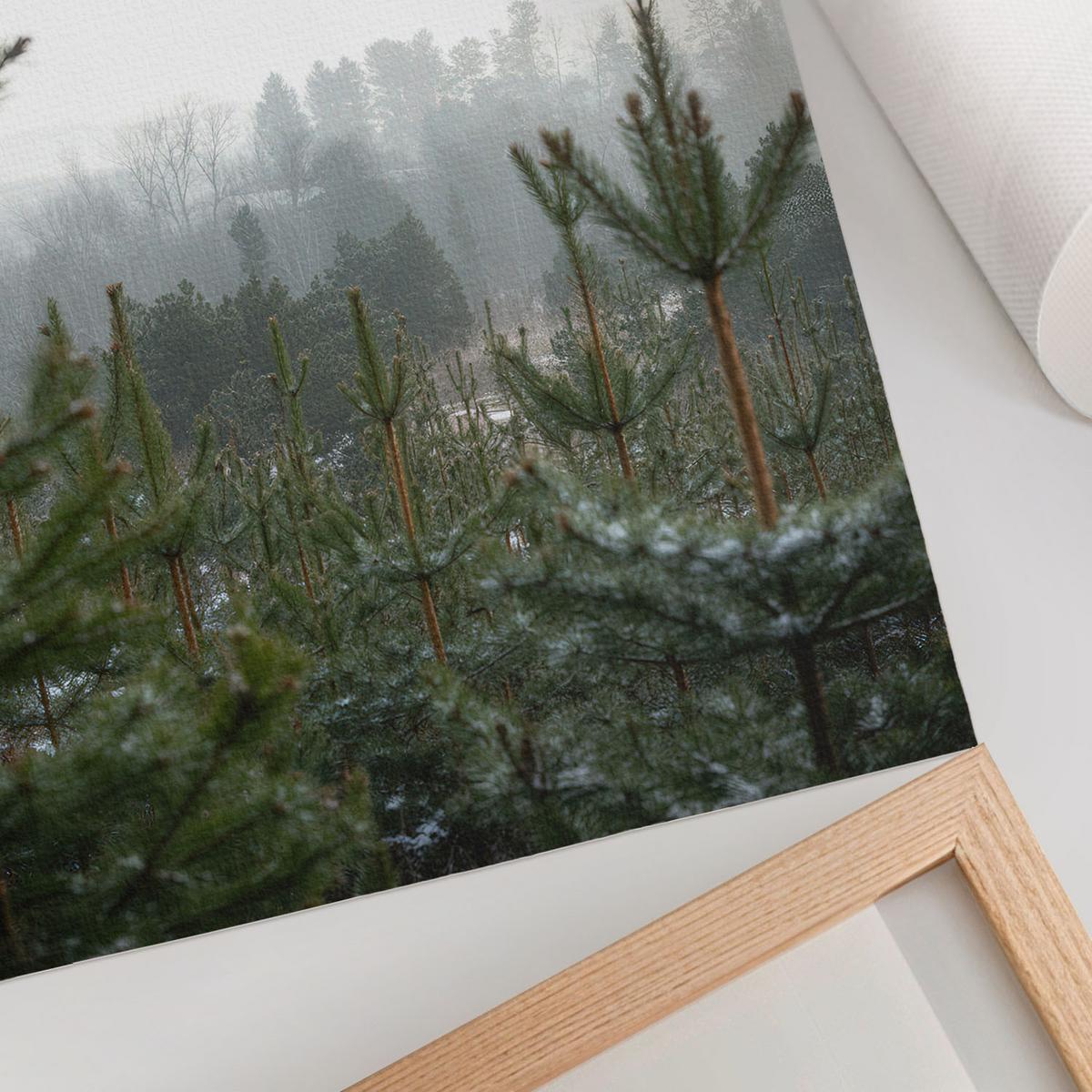POSTER - 21x29 cm - digitalPhoto - Grüne Nadelbäume - Grün, Textil (21/29.7/0.1cm) - TULUP