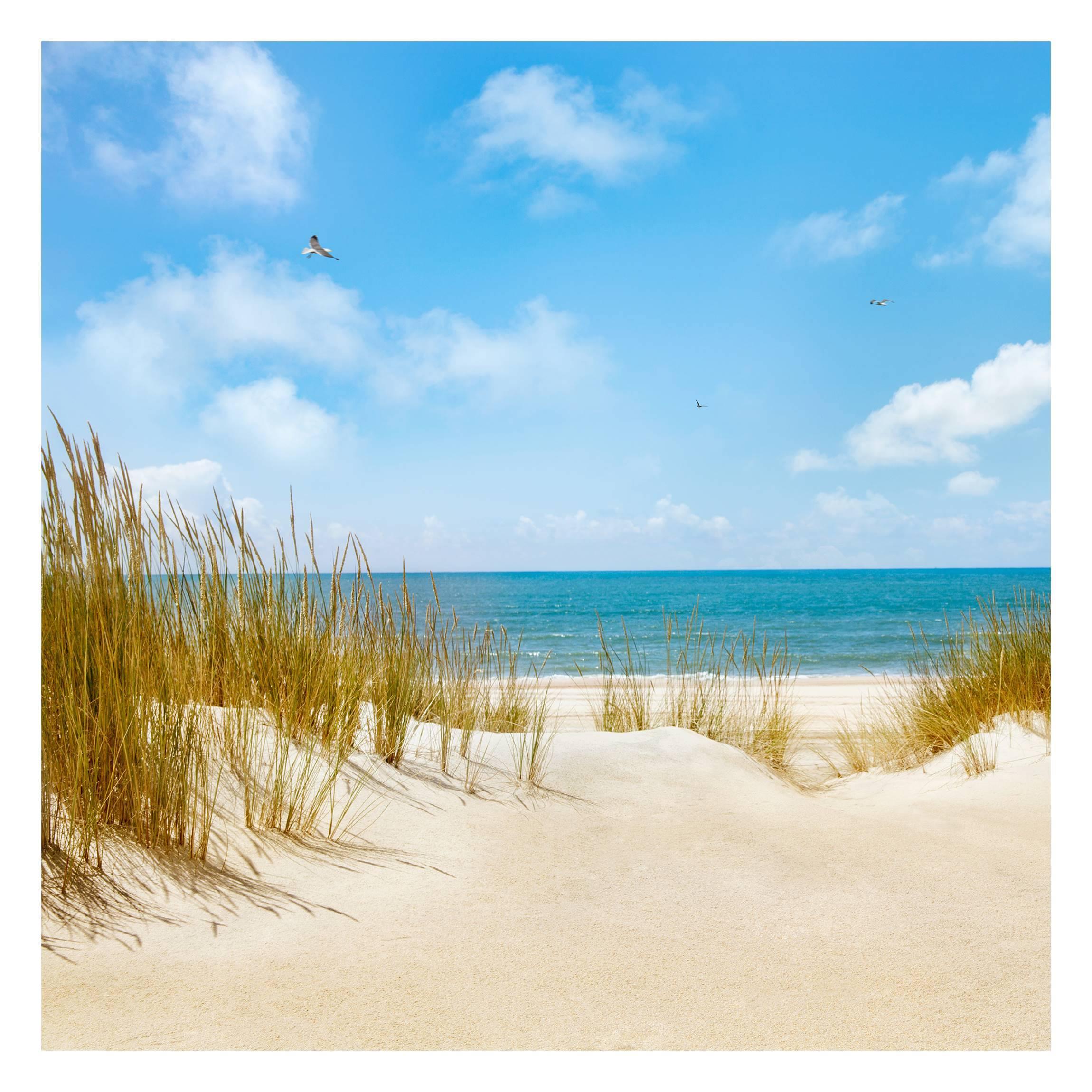 FOTOTAPETE Strand an der Nordsee 240/240 cm - Eichefarben, Papier (240/240cm) - Bilderwelten