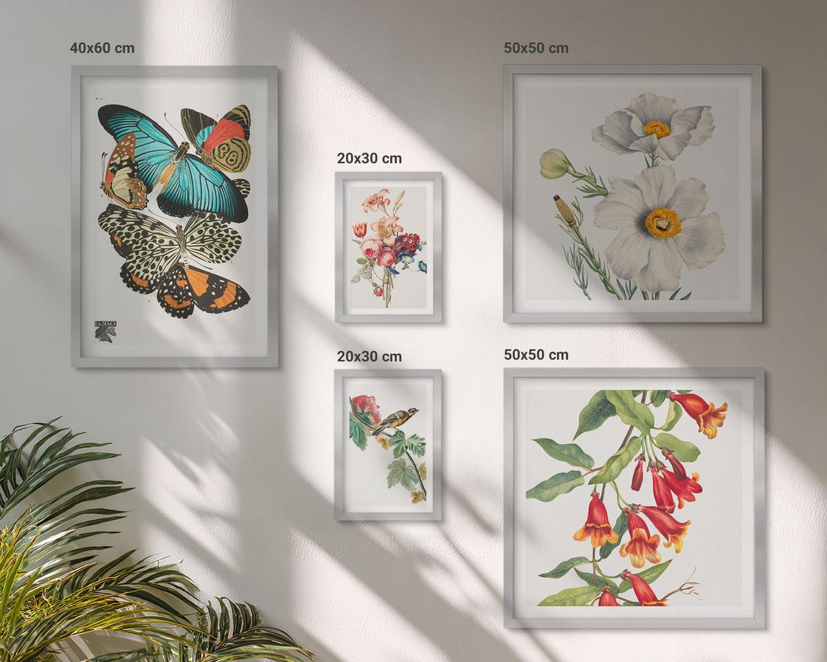 BILDER SET 5er Set - 50x50 cm & 20x30 cm & 40x60 cm Silberner Rahmen - Blumen, Schmetterlinge, Vögel, Pastellfarben - Silberfarben, Kunststoff (40/60cm) - TULUP