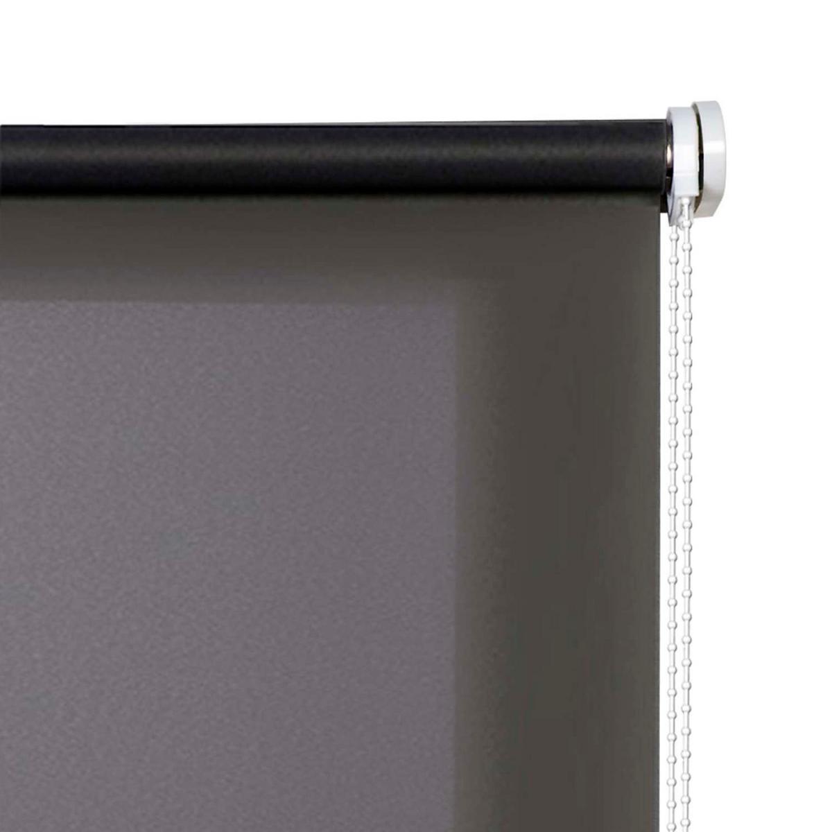 ROLLO Grau, 80 cm x 250 cm - Grau, Kunststoff (80/250cm) - STORESDECO