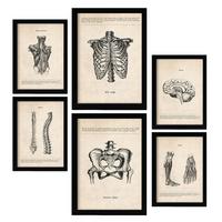 POSTER Set Mit 6 Von Kopf Bis Fuß Medizinische Illustrationen Im Vintage Stil Von Anatomie, Körperteilen, Knochen Und Muskeln A3 & A4 Schwarzer Rahmen - Schwarz, Papier (29/3cm) - Nacnic