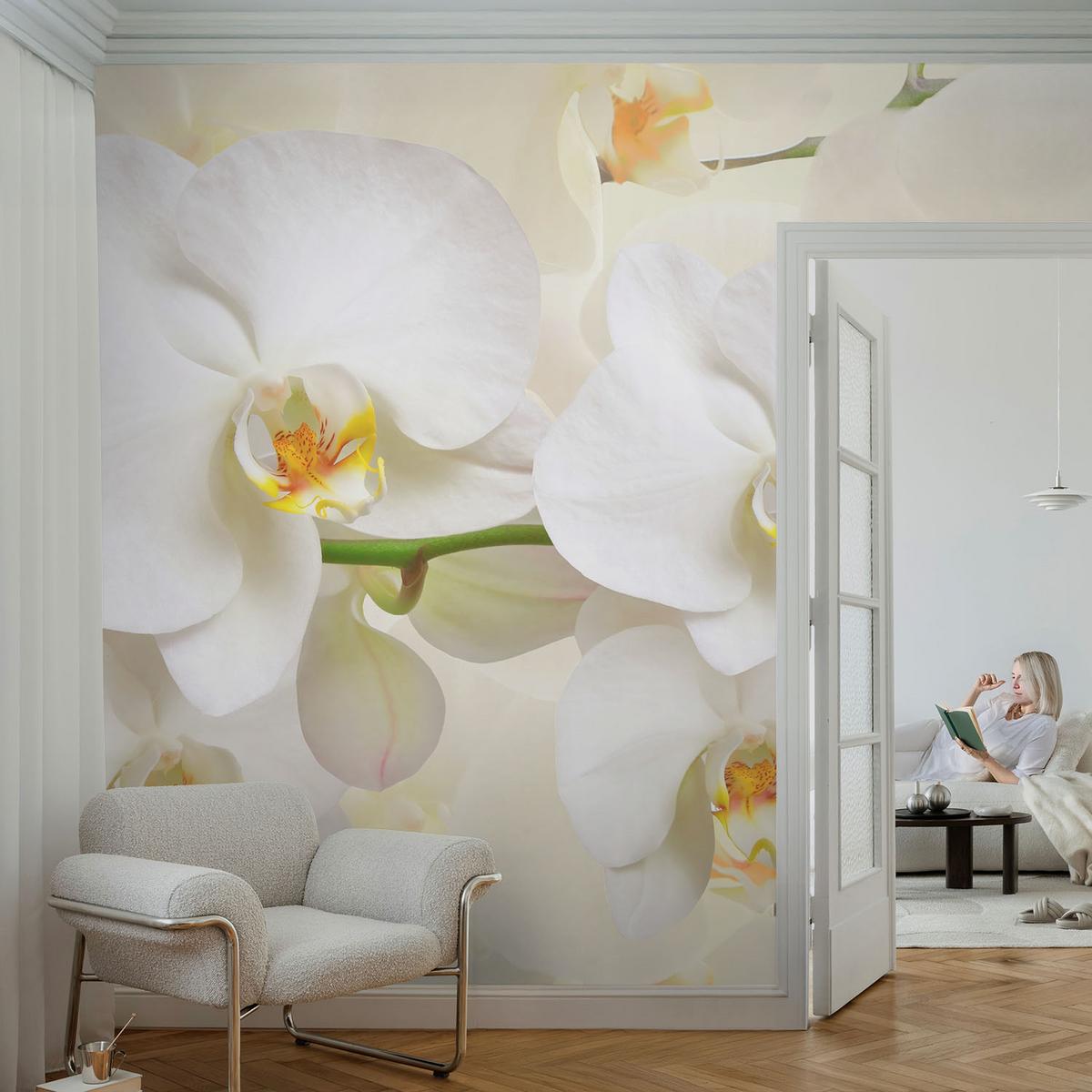 FOTOTAPETE 208x146 cm - Blütenreichtum - Schwarz, Textil (208/146cm) - Wallfluent