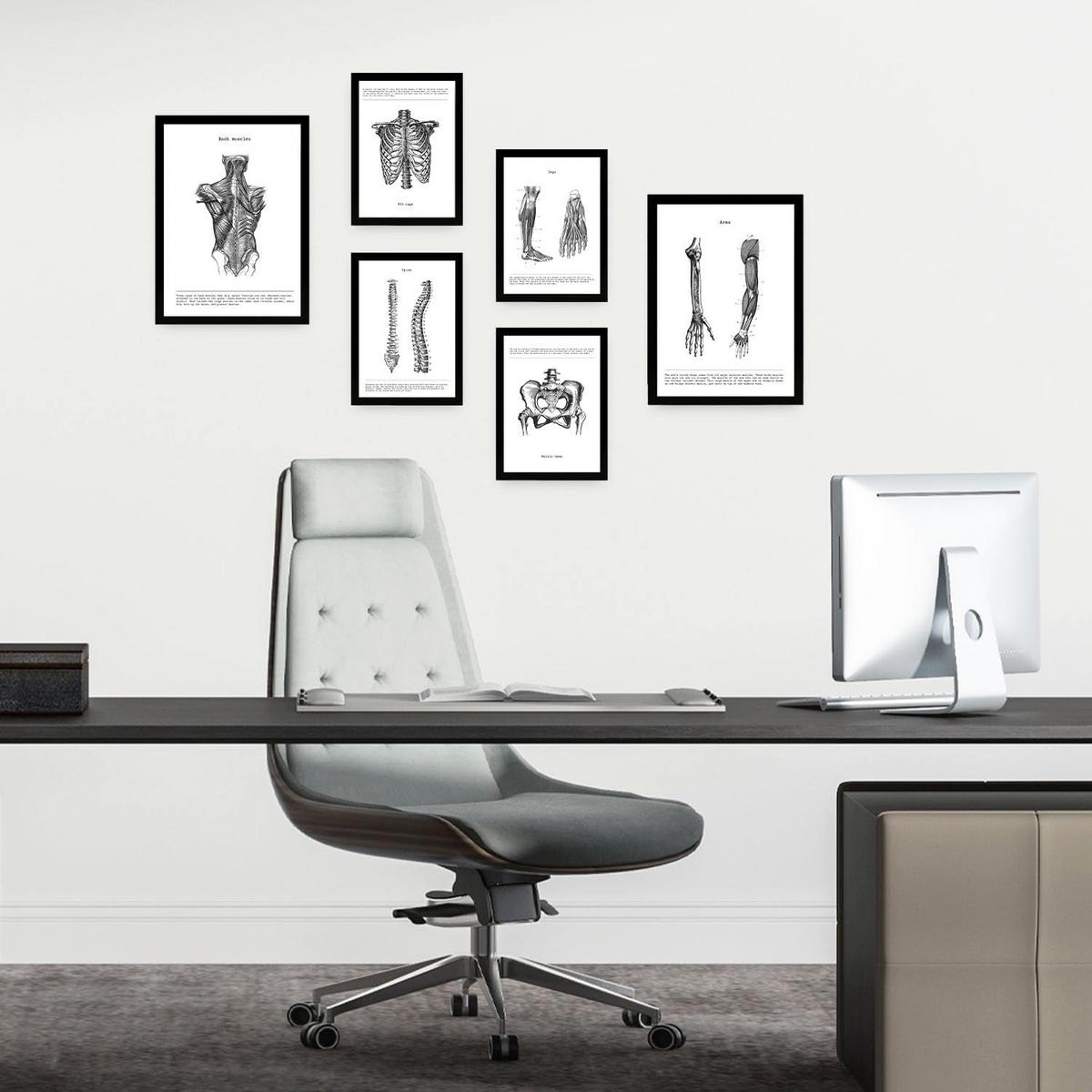 POSTER Set Mit 6 Anatomie Bildern Muskeln Und Knochen Rücken, Bein, Arm, Wirbelsäule, Becken, Rippen Ideal Für Kliniken A3 & A4 Schwarzer Rahmen - Schwarz, Papier (29/3cm) - Nacnic