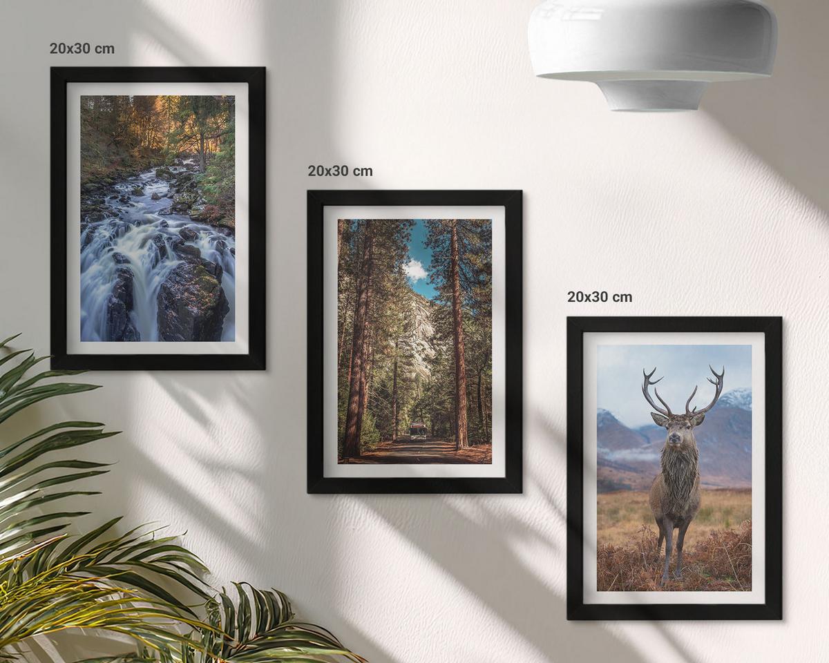 BILDER SET 3er Set - 20x30 cm Schwarzer Rahmen - Wasserfall Wald Berge Hirsch Natur - Schwarz, Kunststoff (20/30cm) - TULUP