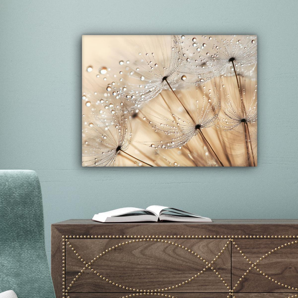 LEINWANDBILD Löwenzahn - Abstrakt - Natur - Beige Wandbild 40x30 cm - Braun, Textil (40/30cm) - MuchoWow