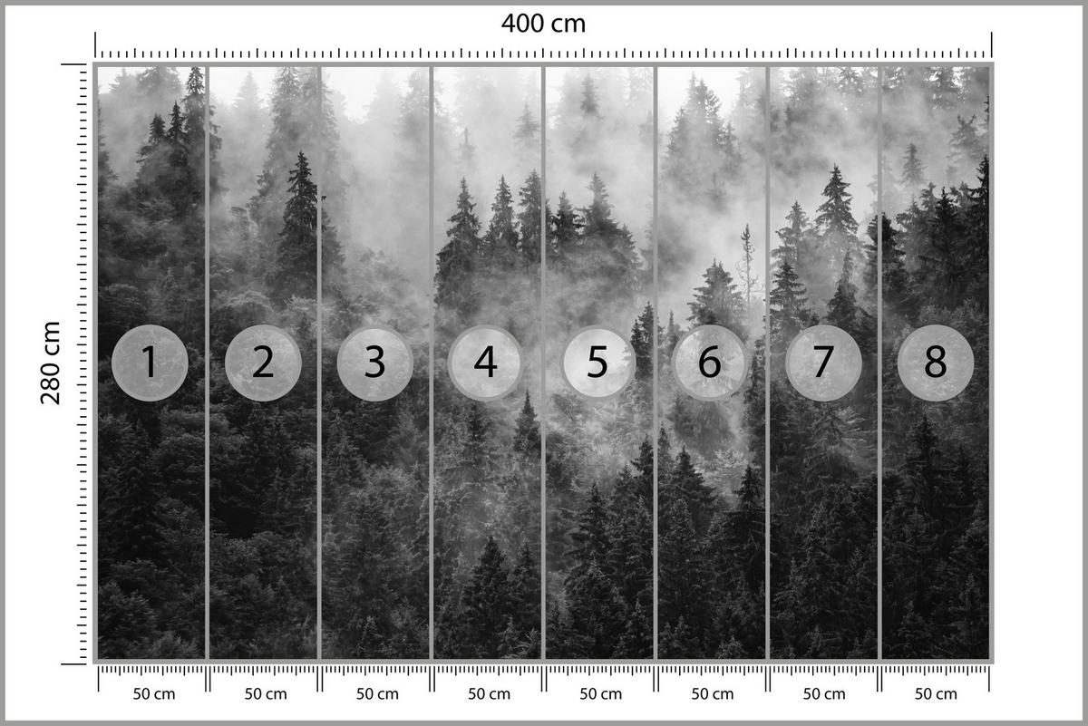 FOTOTAPETE für Wohnzimmer Dichter Nebel Forst Bäume 400x280 - Schwarz/Weiß, Papier (400/280cm) - Muralo