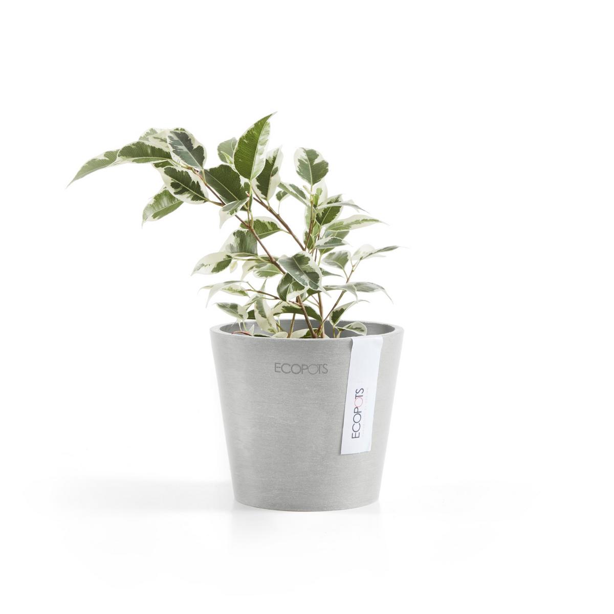 BLUMENTOPF Amsterdam 10,5/9,2 cm Hellgrau - Hellgrau, Kunststoff (10.5/9.2cm) - Ecopots