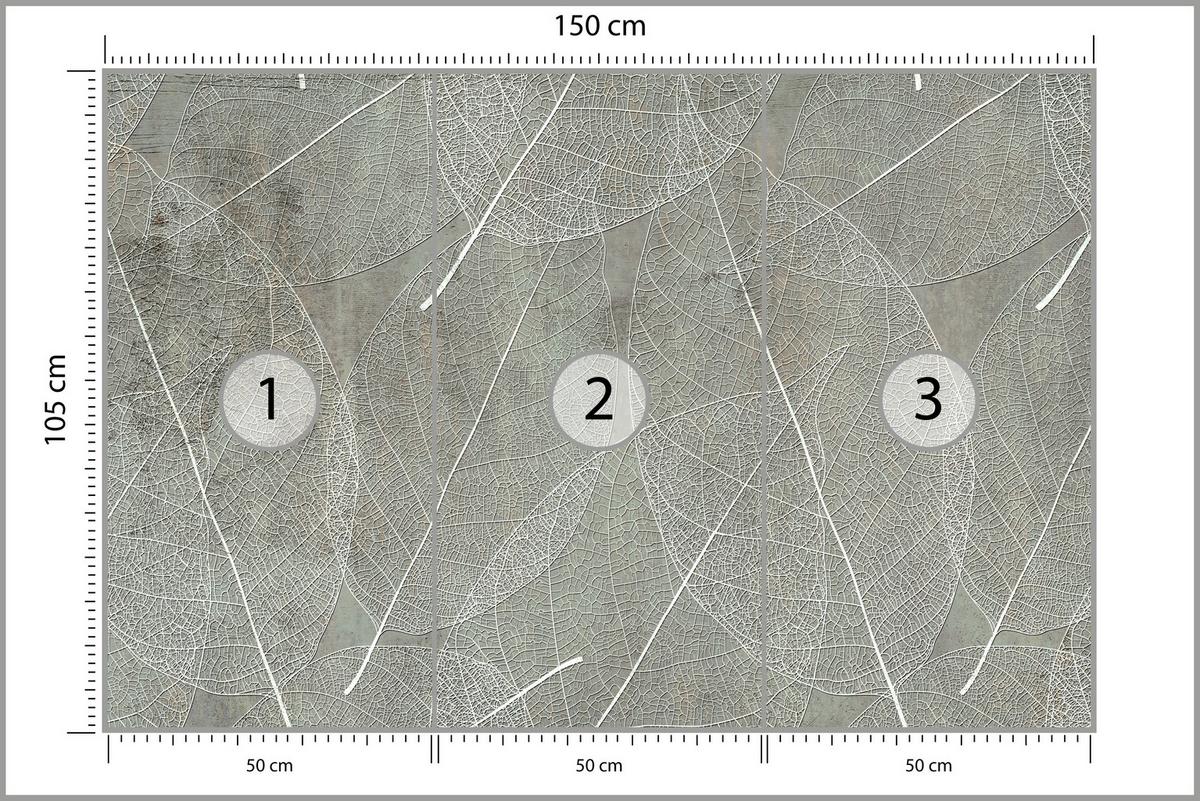 FOTOTAPETE für Schlafzimmer Weiße Blätter auf Beton 150x105 - Weiß/Grau, Papier (150/105cm) - Muralo