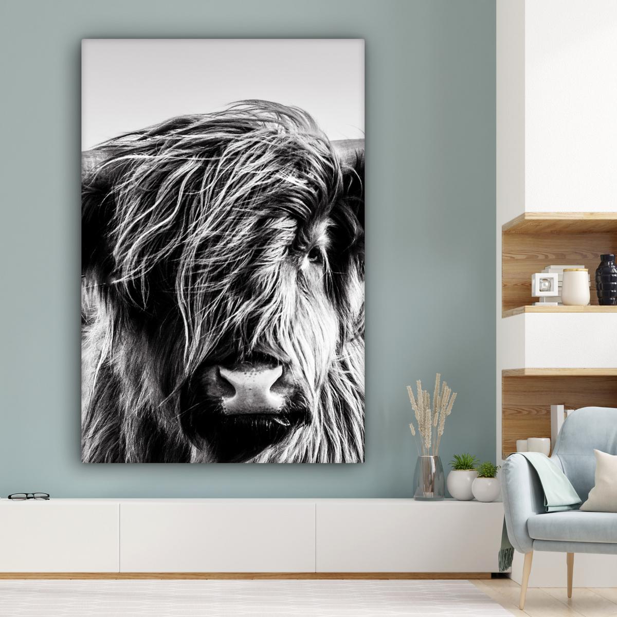 LEINWANDBILD Kuh - Schottischer Hochländer - Schwarz - Weiß - Tier - Natur - Wildtiere Deko Groß 90x140 cm - Schwarz, Textil (90/140cm) - MuchoWow