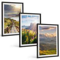 BILDER SET 3er Set - 40x60 cm Schwarzer Rahmen - Berglandschaft mit Blumen - Schwarz, Kunststoff (40/60cm) - TULUP