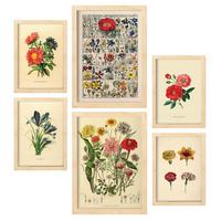 POSTER Set Mit 6 Blumen In Vintage A3 & A4 Rahmen Aus Hellem Holz - Beige, Papier (29/3cm) - Nacnic