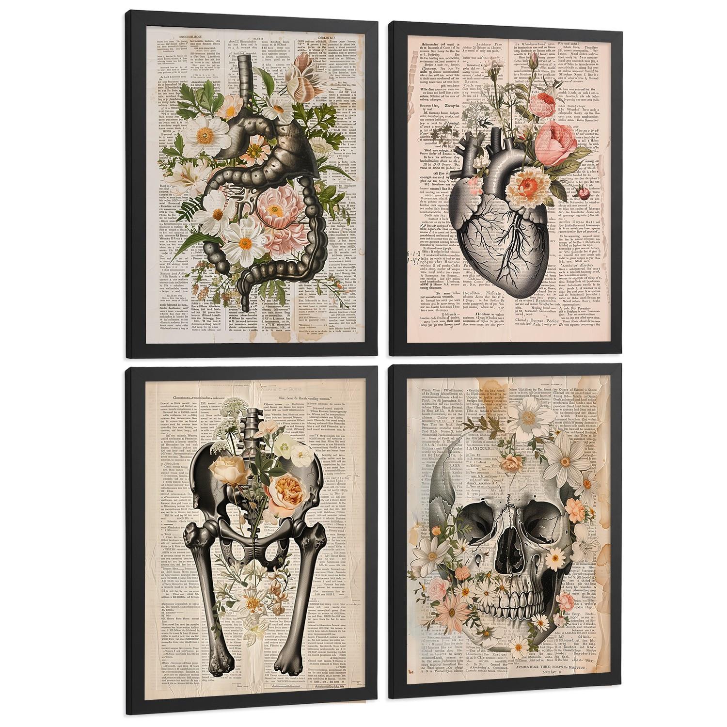 POSTER Set aus 4 Anatomie Mensch Botanische Drucke und mit Organen Herz Verdauungssystem Schädel und Becken Heimdekoration Größe Schwarzer Rahmen A4 - Schwarz, Papier (21/29.7/3cm) - Nacnic