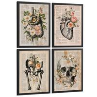 POSTER Set aus 4 Anatomie Mensch Botanische Drucke und mit Organen Herz Verdauungssystem Schädel und Becken Heimdekoration Größe Schwarzer Rahmen A4 - Schwarz, Papier (21/29.7/3cm) - Nacnic
