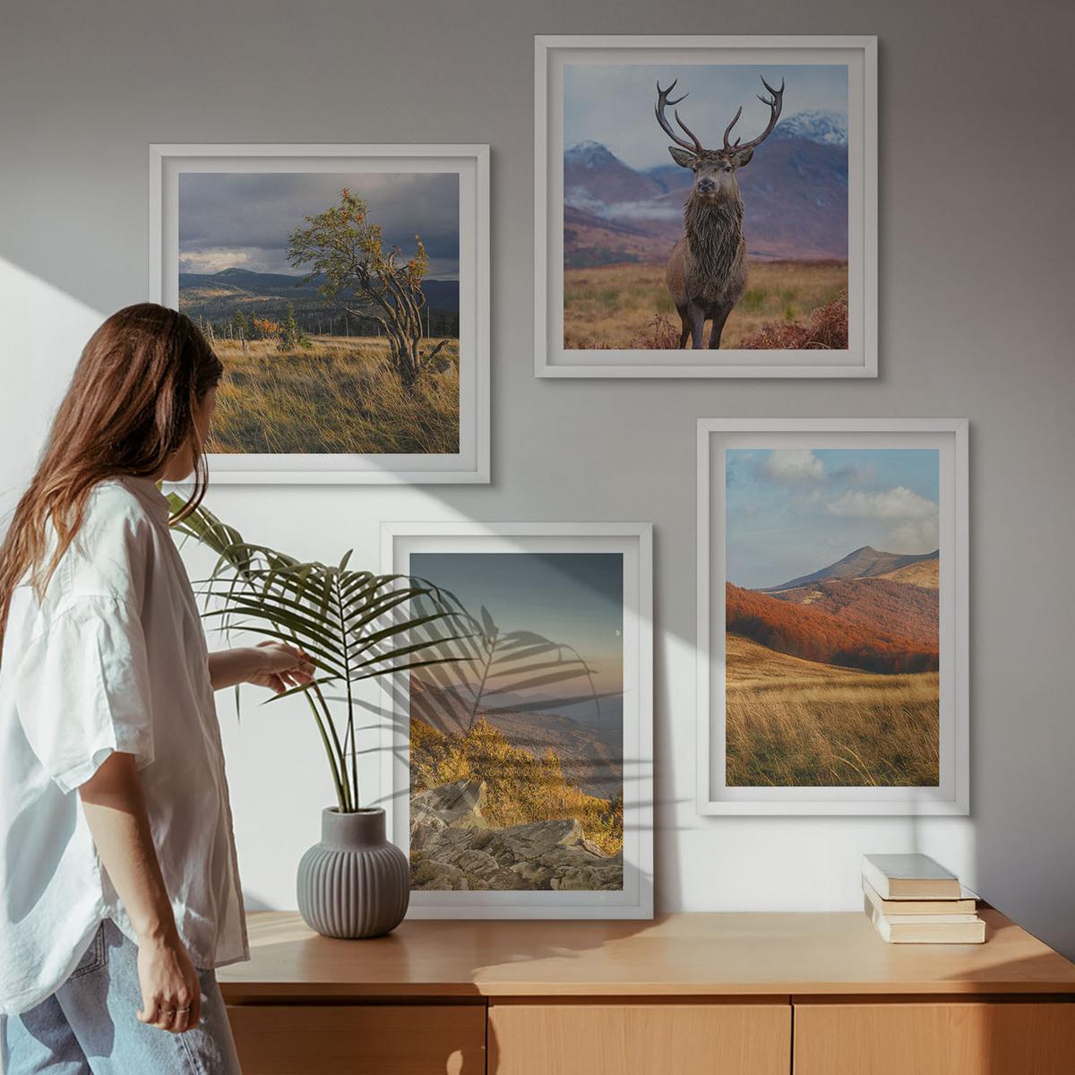 BILDER SET 4er Set - 50x50 cm & 40x60 cm Weißer Rahmen - Berglandschaften, Hirschgras - Weiß, Kunststoff (50/50cm) - TULUP