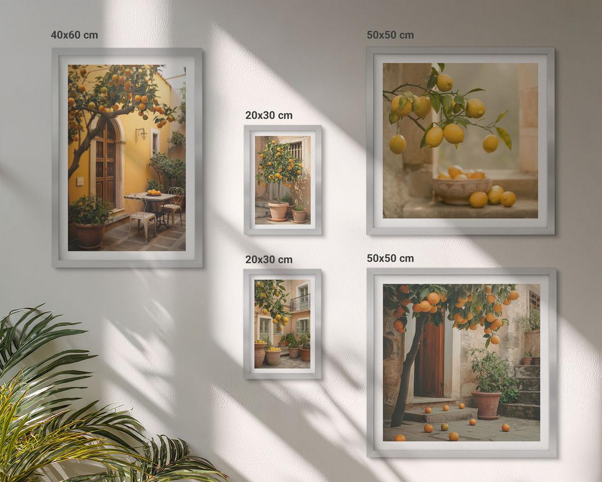 BILDER SET 5er Set - 50x50 cm & 20x30 cm & 40x60 cm Silberner Rahmen - Terrasse mit Zitrusbäumen - Silberfarben, Kunststoff (40/60cm) - TULUP