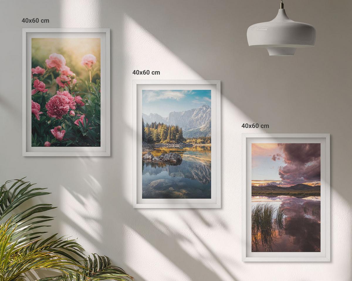 BILDER SET 3er Set - 40x60 cm Weißer Rahmen - Blumengarten Berge Wasser - Weiß, Kunststoff (40/60cm) - TULUP