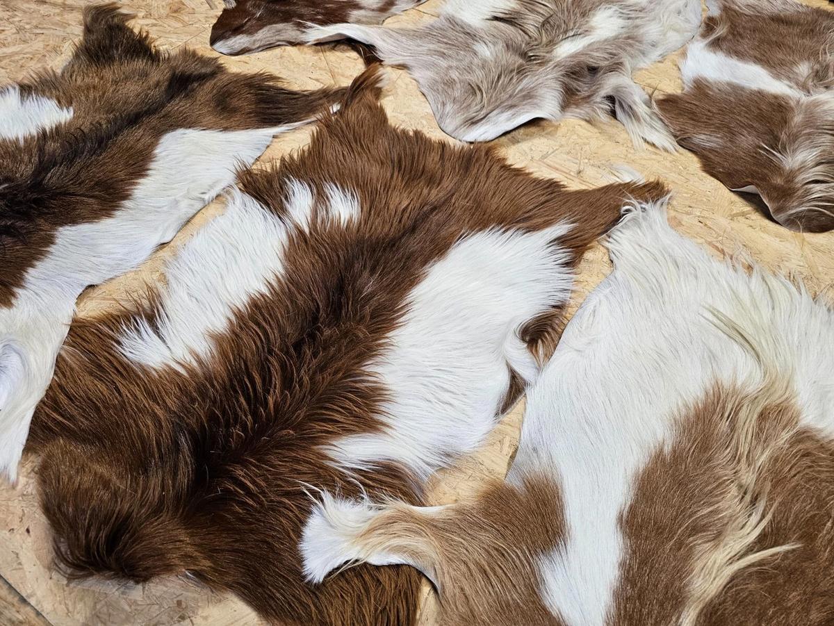 FELL Ziegenfell Braun-Weiß Naturfarben Teppich ca. 90 cm 2.Wahl - Braun/Weiß, Fell (50/90cm) - Provellus