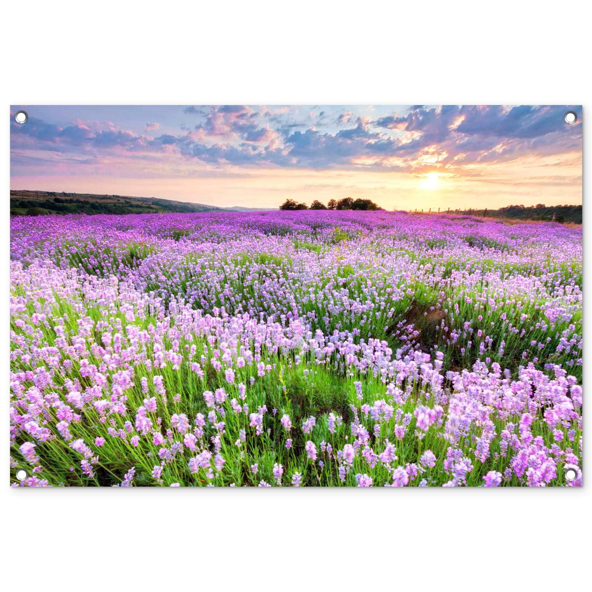 GARTENPOSTER Blumen - Lavendel - Lila - Himmel - Sonnenuntergang - Wiese - Natur Gartendeko 90x60 cm - Flieder, Kunststoff (90/60/0.2cm) - OnlyWow