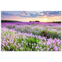 GARTENPOSTER Blumen - Lavendel - Lila - Himmel - Sonnenuntergang - Wiese - Natur Gartendeko 90x60 cm - Flieder, Kunststoff (90/60/0.2cm) - OnlyWow