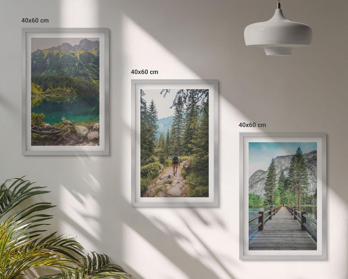 BILDER SET 3er Set - 40x60 cm Silberner Rahmen - Berge, Seen, Wälder, Wege - Silberfarben, Kunststoff (40/60cm) - TULUP