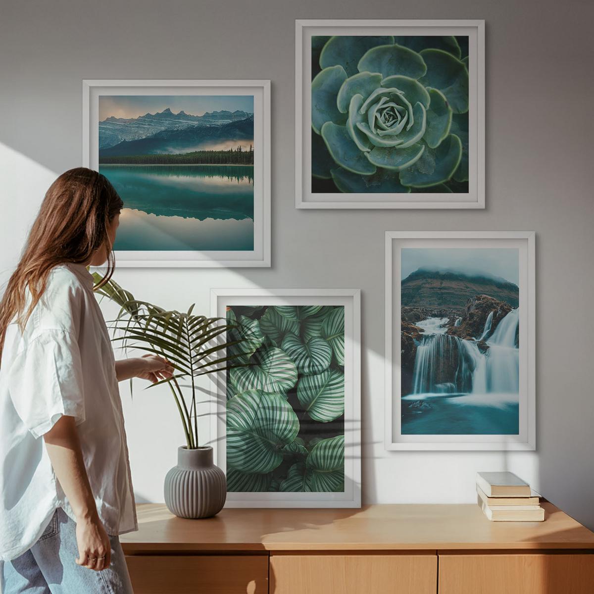 BILDER SET 4er Set - 50x50 cm & 40x60 cm Weißer Rahmen - Nahaufnahmen von Blättern sukkulenter Pflanzen - Weiß, Kunststoff (50/50cm) - TULUP