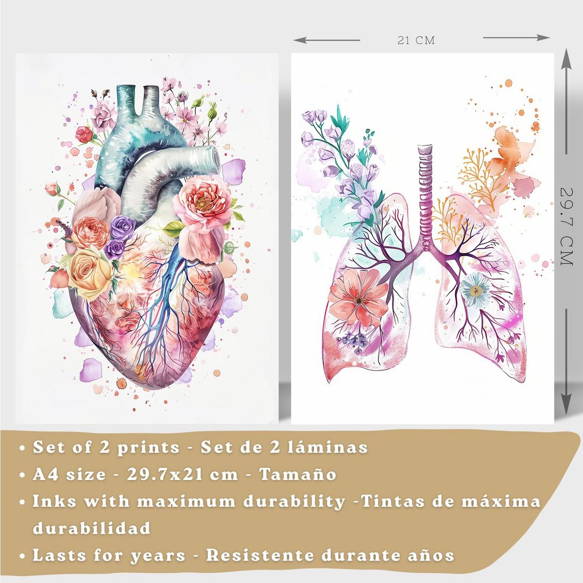 POSTER Set aus 2 Anatomie Mensch Drucke und Wandbilder mit Herz und Atmungssystem Floraler Stil Wanddekoration Größe Leichter Holzrahmen A4 - Beige, Papier (21/29.7/3cm) - Nacnic