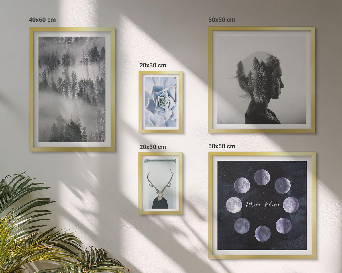 BILDER SET 5er Set - 50x50 cm & 20x30 cm & 40x60 cm Goldrahmen - Waldnebel, Mond, Schädel, Frau - Goldfarben, Kunststoff (40/60cm) - TULUP