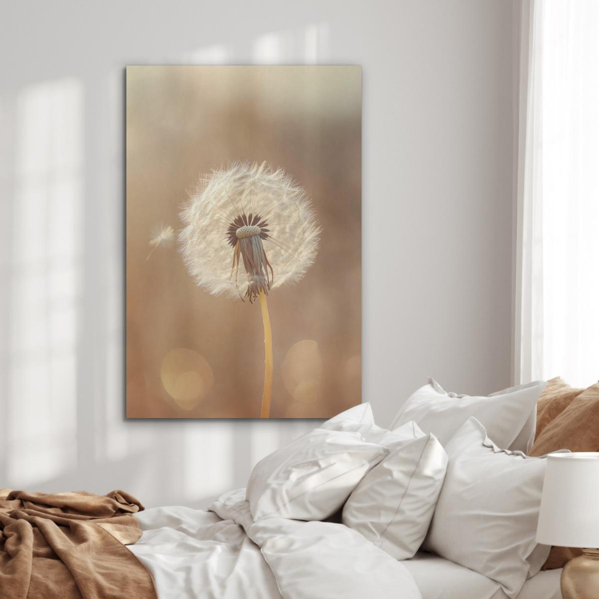 AKUSTIKBILD Löwenzahn - Beige - Natur - Blume Wanddeko 70x100 cm - Hellbraun, Kunststoff (70/100/0.9cm) - MuchoWow