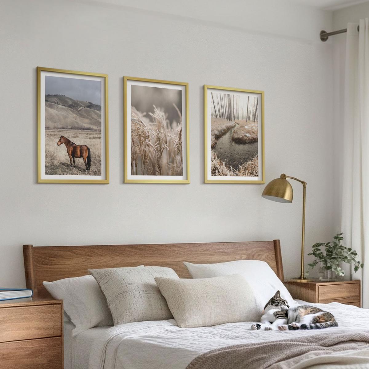 BILDER SET 3er Set - 40x60 cm Goldrahmen - Pferde, Landschaft, Gras, Bach - Goldfarben, Kunststoff (40/60cm) - TULUP