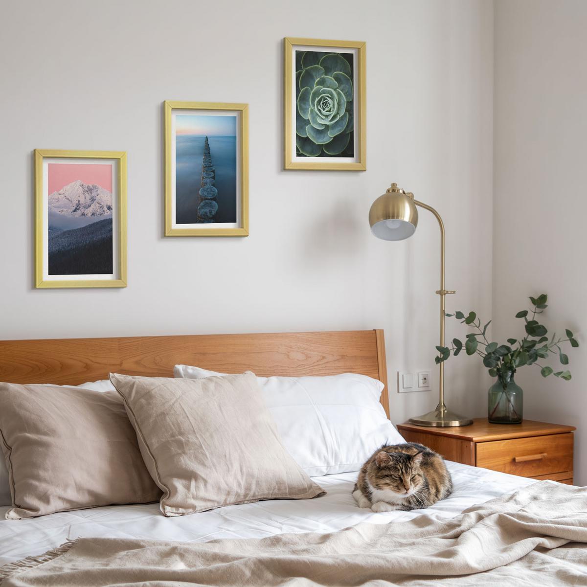 BILDER SET 3er Set - 20x30 cm Goldrahmen - Berge, rosa Himmel, Wasser, Sukkulente - Goldfarben, Kunststoff (20/30cm) - TULUP
