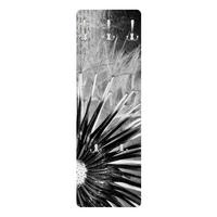 WANDGARDEROBE - Pusteblume Schwarz, Weiß 34/105 cm - Schwarz, Holzwerkstoff (34/105/1.6cm) - Bilderwelten