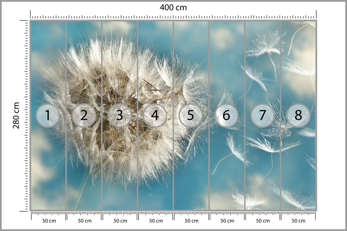 FOTOTAPETE für Schlafzimmer Löwenzahn im Wind Leicht Dynamisch 400x280 - Blau/Beige, Papier (400/280cm) - Muralo
