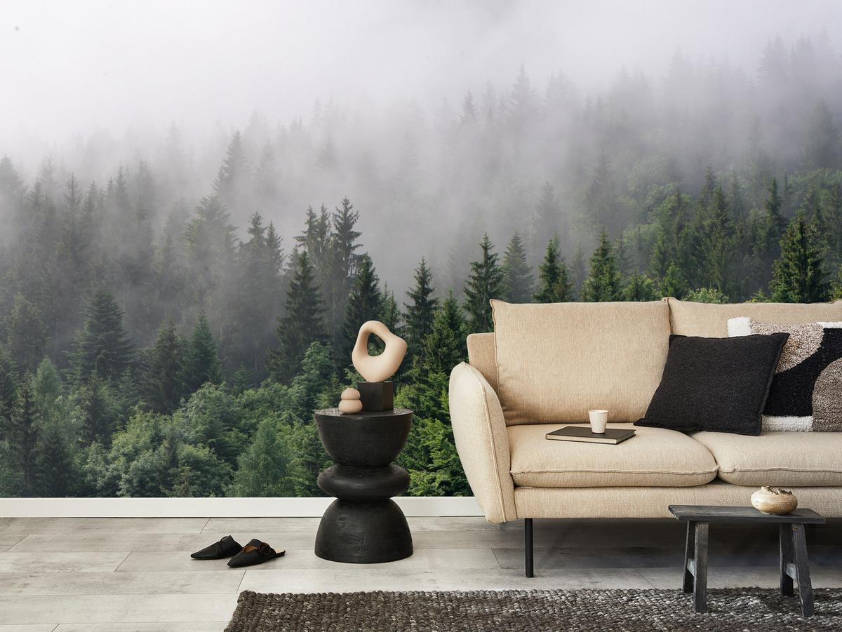 FOTOTAPETE für Wohnzimmer Nadelbäume Nebelwald Grün 350x256 - Grau/Grün, Papier (350/256cm) - Muralo
