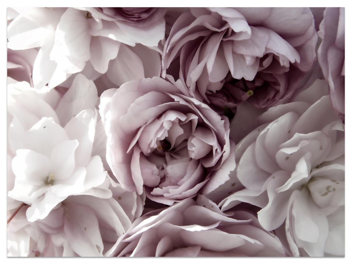 FOTOTAPETE für Badezimmer Pastell Pfingstrosen Blumen 500x350 - Beige/Violett, Papier (500/350cm) - Muralo