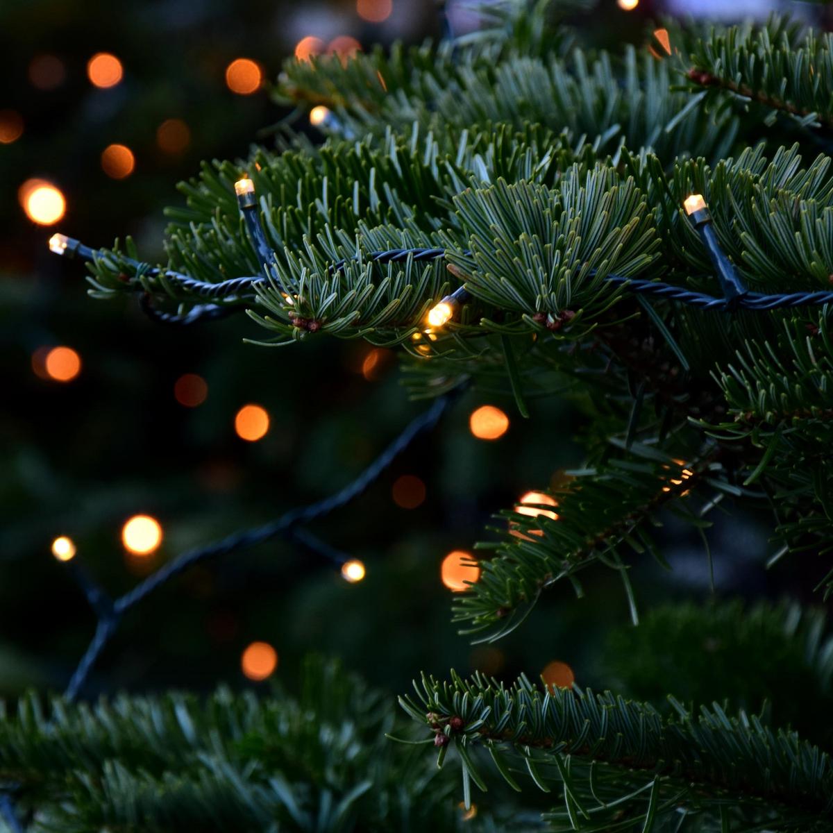 LED LICHTERKETTE Cluster Außen Innen 15 m Weihnachtsbeleuchtung 750 LED Warmweiß - Schwarz, Kunststoff (1800cm) - ECD-Germany