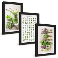 BILDER SET 3er Set - 20x30 cm Schwarzer Rahmen - Getrocknete Kräuter für die Küche - Schwarz, Kunststoff (20/30cm) - TULUP
