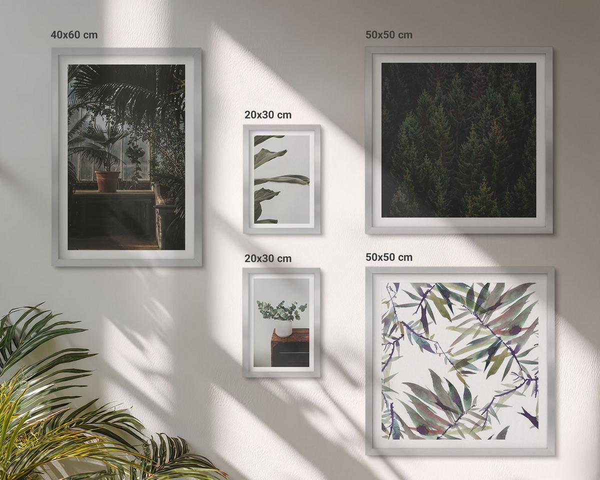 BILDER SET 5er Set - 50x50 cm & 20x30 cm & 40x60 cm Silberner Rahmen - Rustikale Topfpflanzen - Silberfarben, Kunststoff (40/60cm) - TULUP