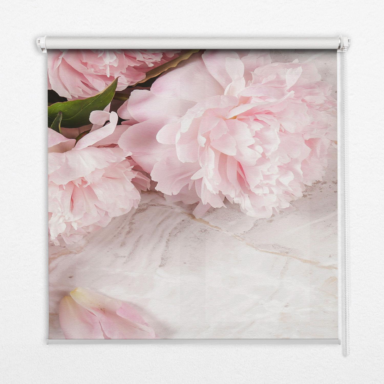 INNENROLLO - Fensterrollo - Rollo - 80x180 cm - Blumen - Weiß, Kunststoff (80/180/0.5cm) - TULUP