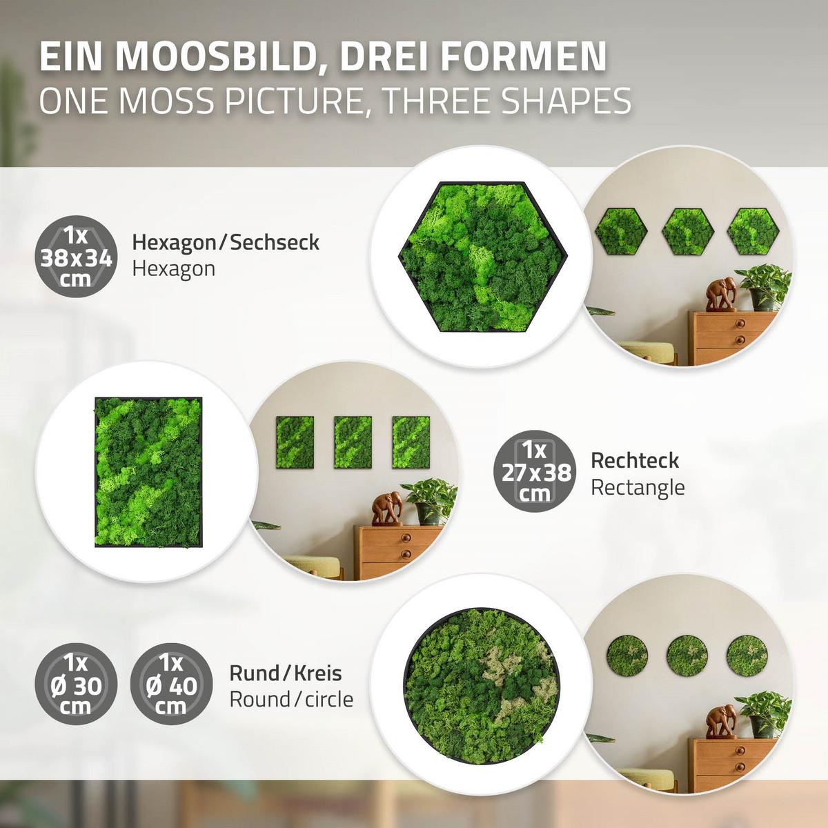 MOOSBILD Hexagon 38x34 cm Mooswand Indoor mit echtem Islandmoos und Holzrahmen Grün Pflegefrei - Hellgrün, Naturmaterialien (38/34/3.4cm) - ECD-Germany