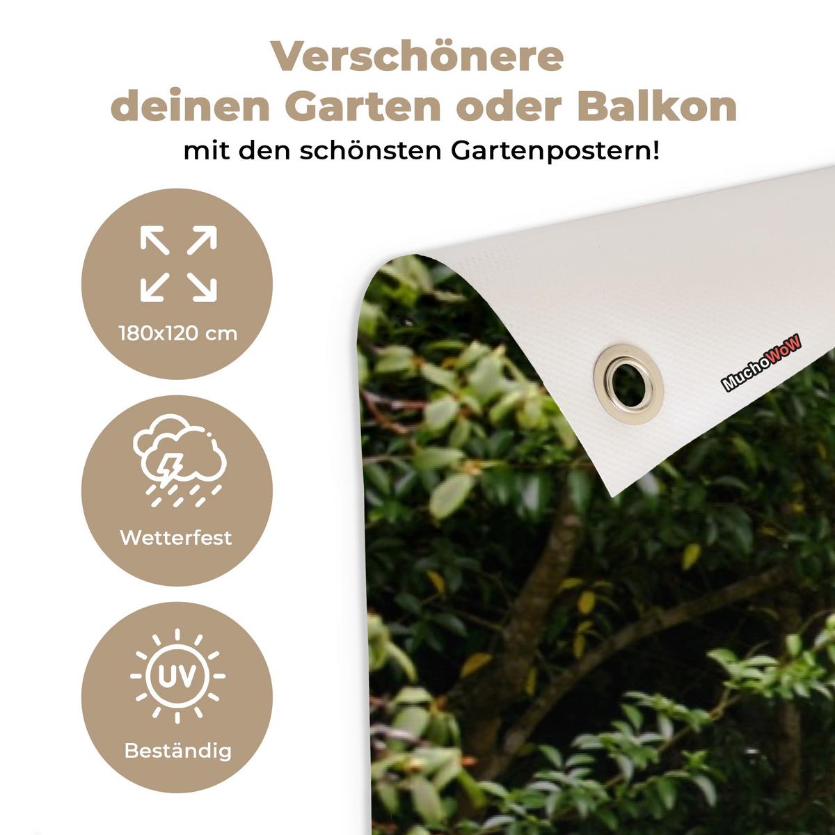 GARTENPOSTER Transparent - Blumen - Hortensie - Sommer Poster für draußen 180x120 cm - Graubraun, Kunststoff (180/120/0.2cm) - OnlyWow