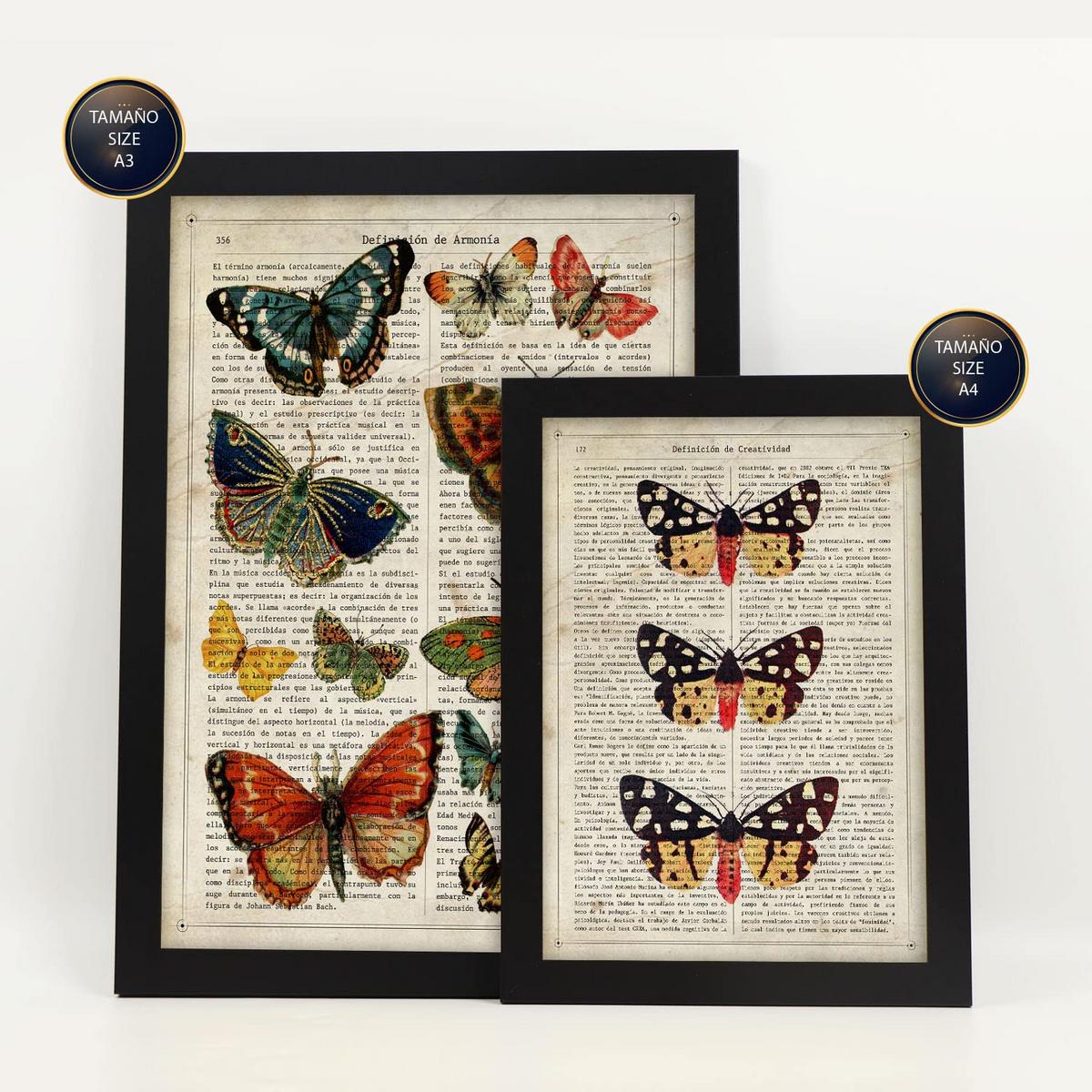 POSTER Set Mit 6 Schmetterlinge Vintage Papier Stil Plakate Mit Enzyklopädie Hintergründen Bunte Schmetterlinge A3 & A4 Schwarzer Rahmen - Schwarz, Papier (29/3cm) - Nacnic