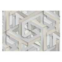 FOTOTAPETE 208x146 cm - Trugbilder - Weiß, Textil (208/146cm) - Wallfluent