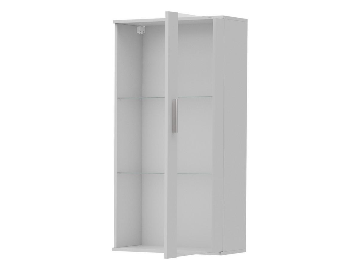 HÄNGEVITRINE Soho S02 - Silberfarben/Schwarz, Holzwerkstoff/Kunststoff (60/116/29cm) - MIRJAN24