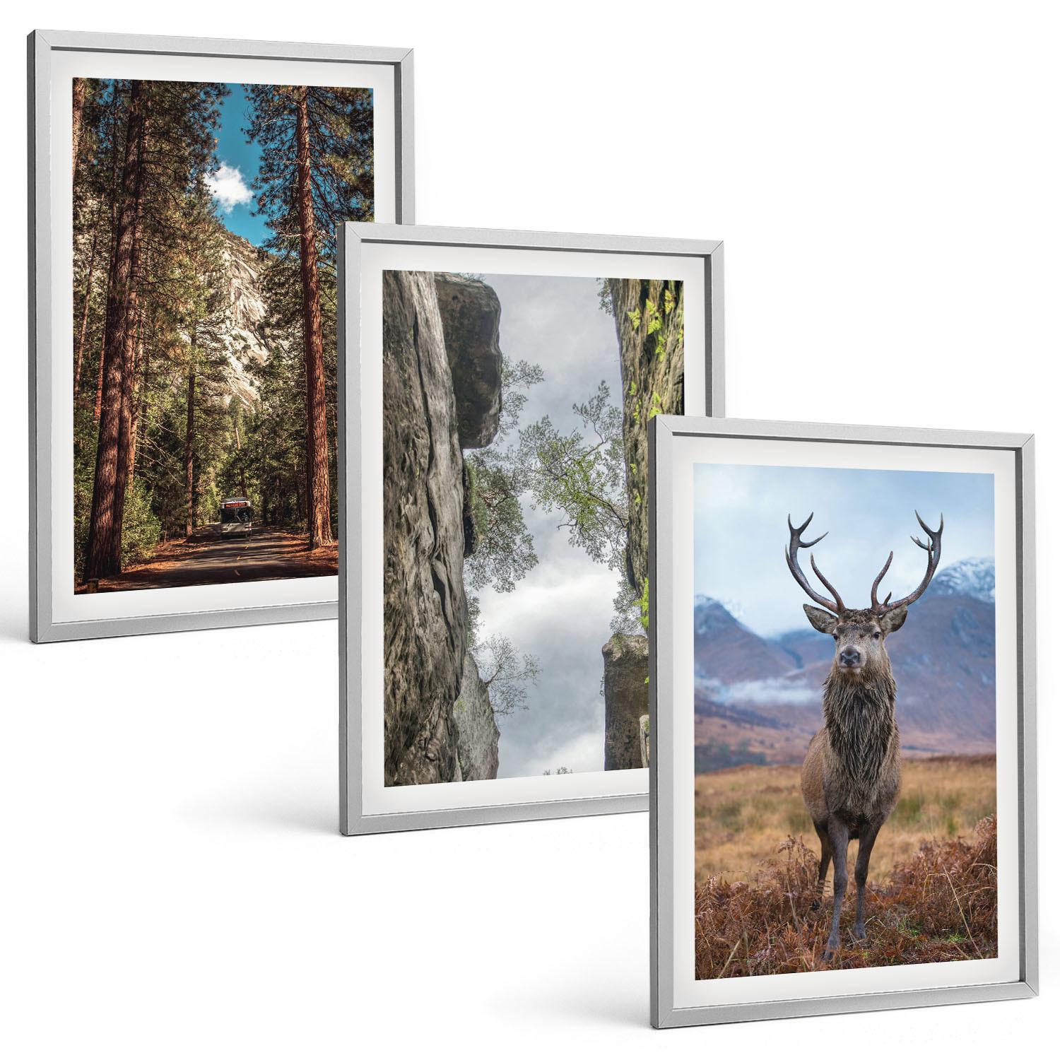 BILDER SET 3er Set - 40x60 cm Silberner Rahmen - Straße Wald Berge Hirsch Natur - Silberfarben, Kunststoff (40/60cm) - TULUP
