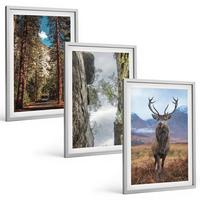 BILDER SET 3er Set - 40x60 cm Silberner Rahmen - Straße Wald Berge Hirsch Natur - Silberfarben, Kunststoff (40/60cm) - TULUP